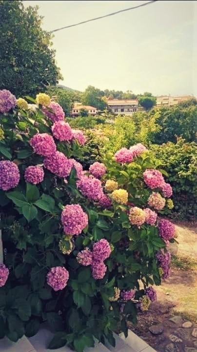 Kandilari Apartments Kokkino Nero Bagian luar foto