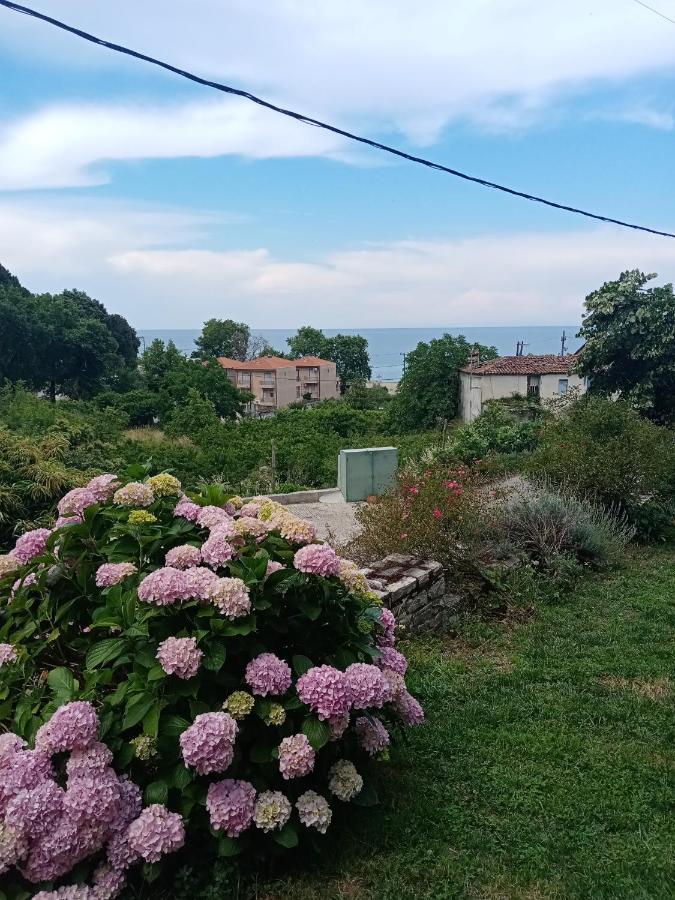 Kandilari Apartments Kokkino Nero Bagian luar foto